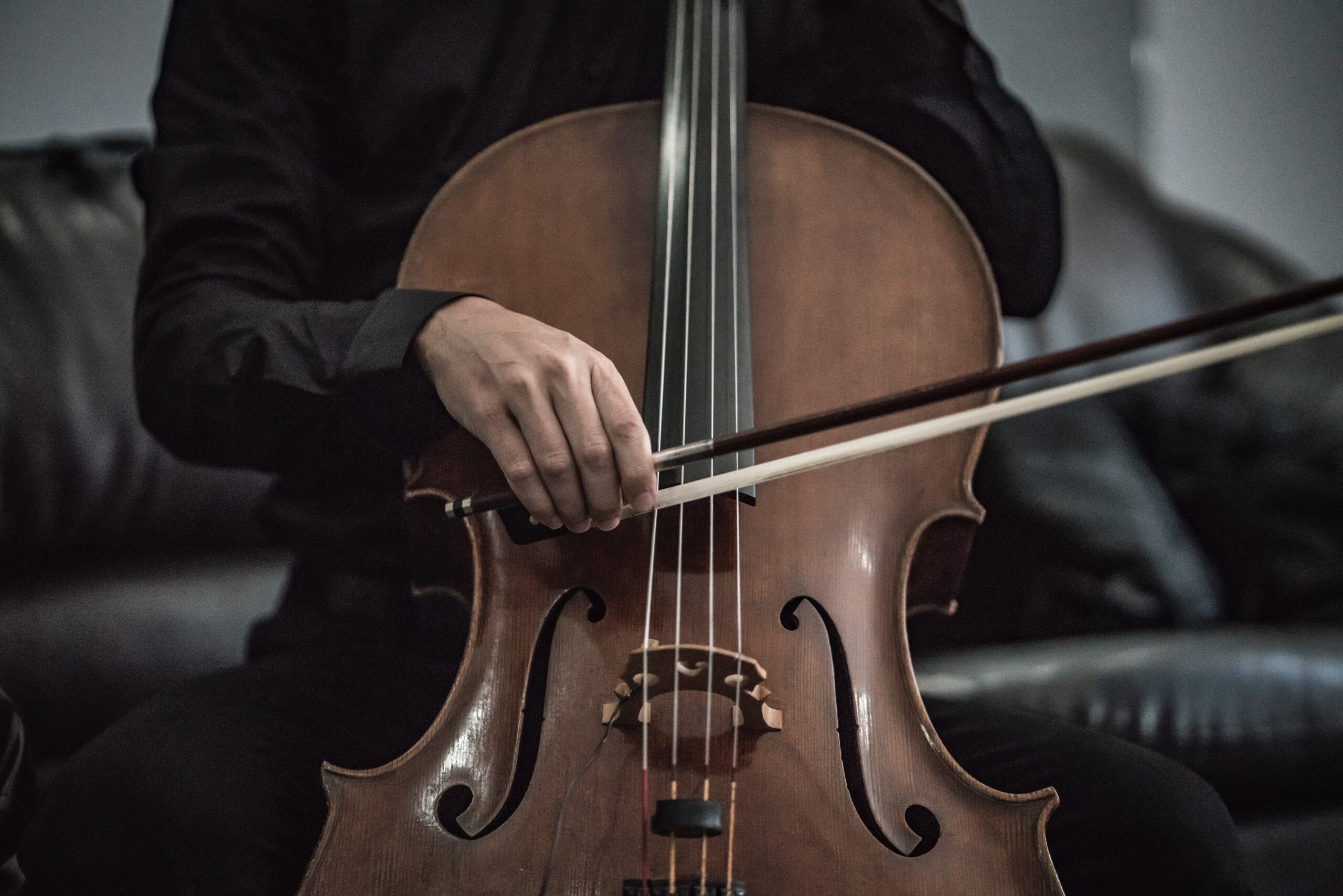 adi-goldstein-veCoBypas4A-unsplash